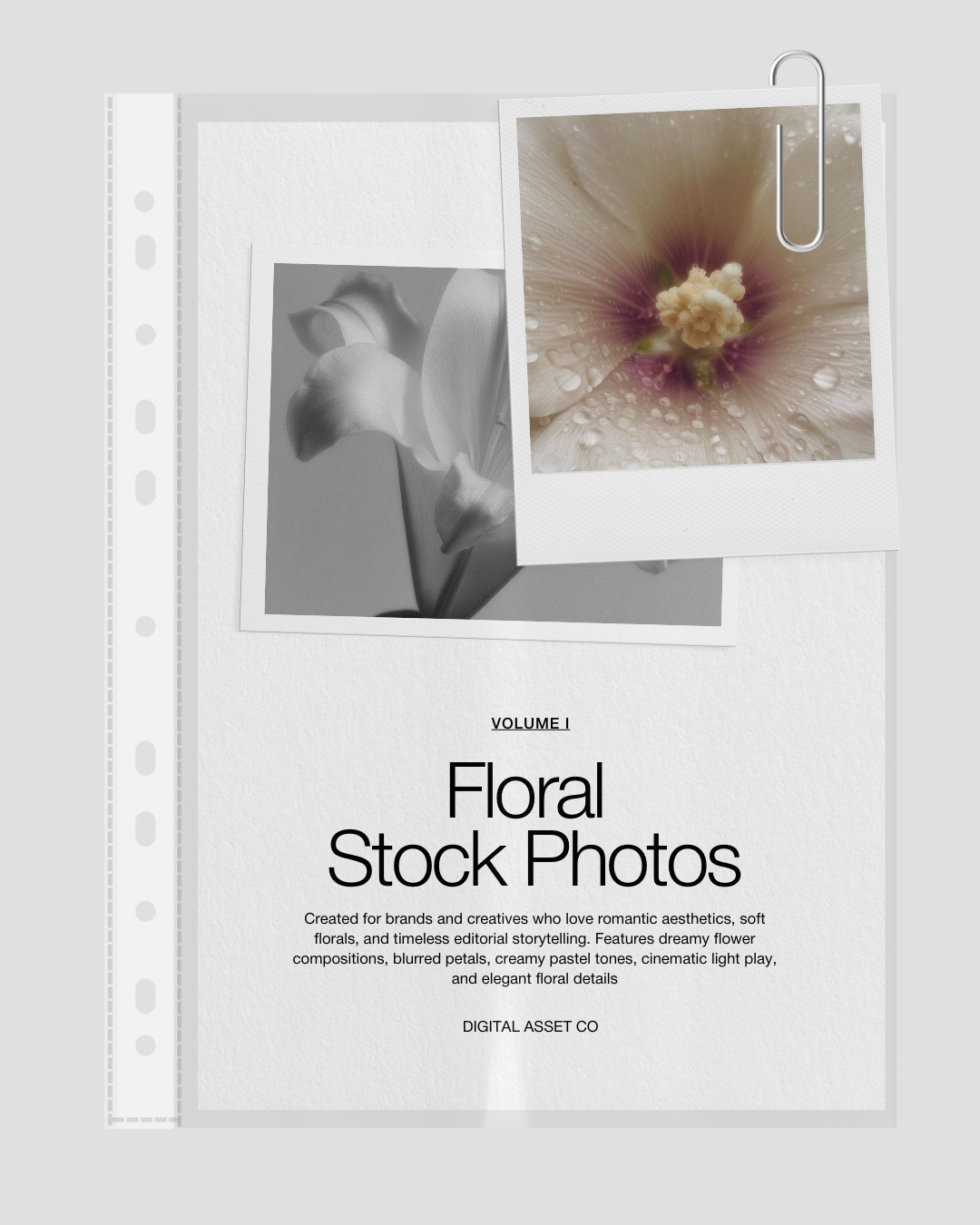 80 Floral Aesthetic Stock Images - Digital Asset Co