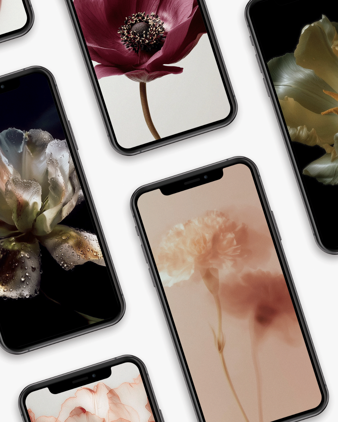 80 Floral Aesthetic Stock Images - Digital Asset Co