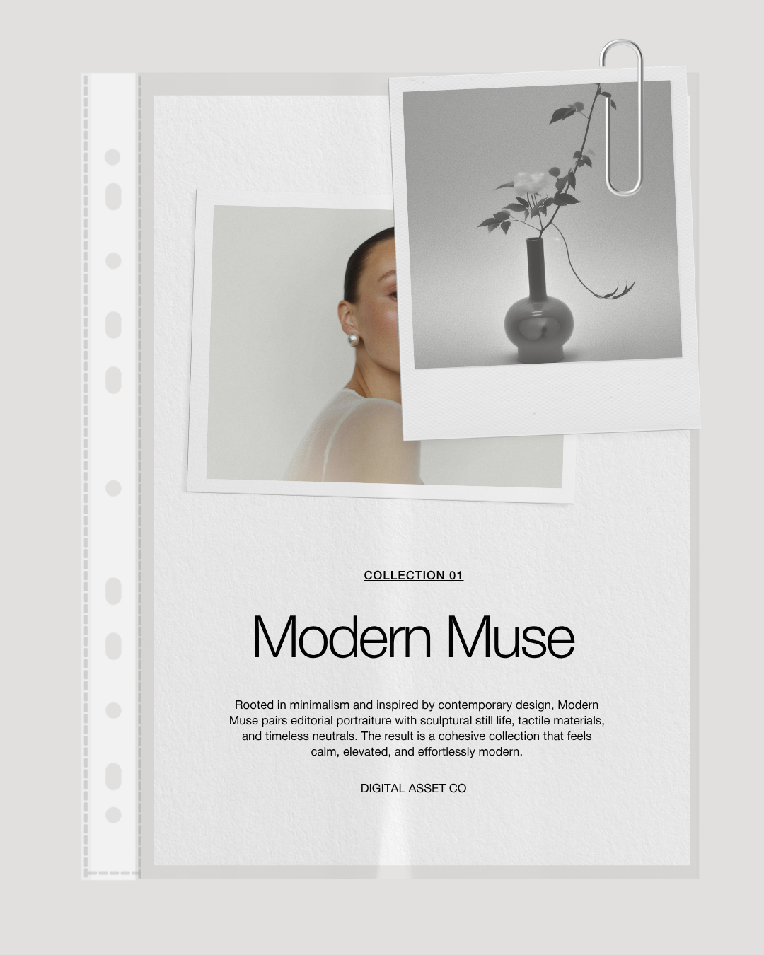 100 Modern Muse Stock Photos